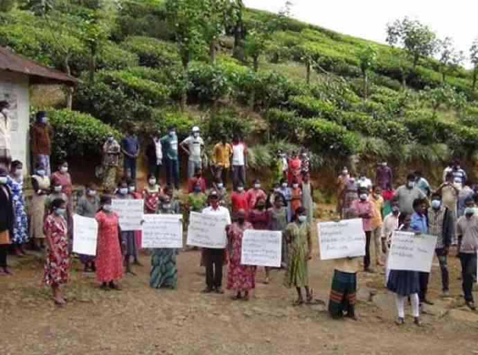 නුවරඑළියේ පාලකයන් හා කම්කරුවන් ගැටී ගැටුමකින් දෙපිරිසටම තුවාල (VIDEO)