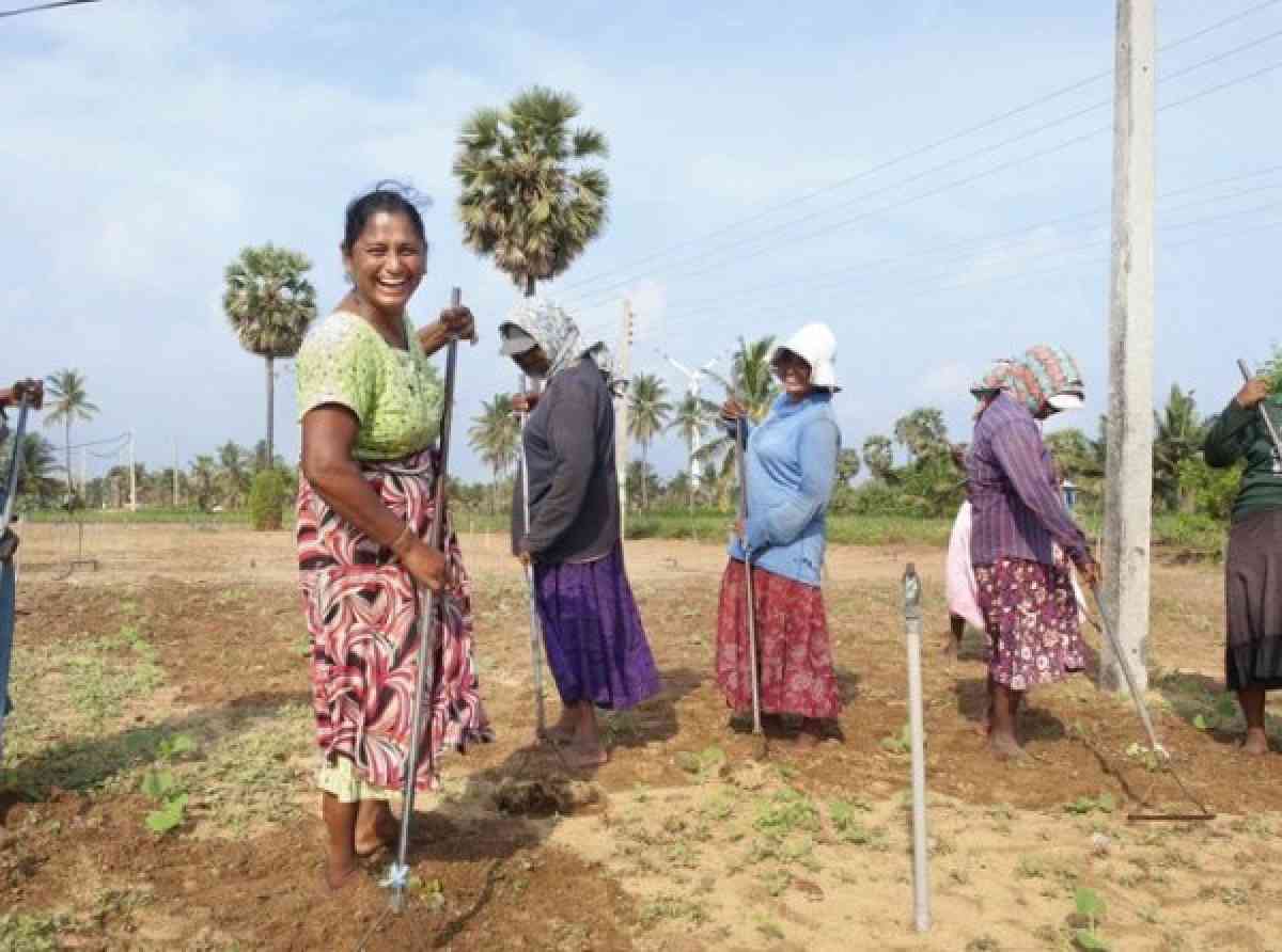 ශ්‍රී ලංකාවේ කෘෂිකර්මය සහ ග්‍රාමීය අංශයේ ස්ත්‍රී – පුරුෂ සමාජභාවය