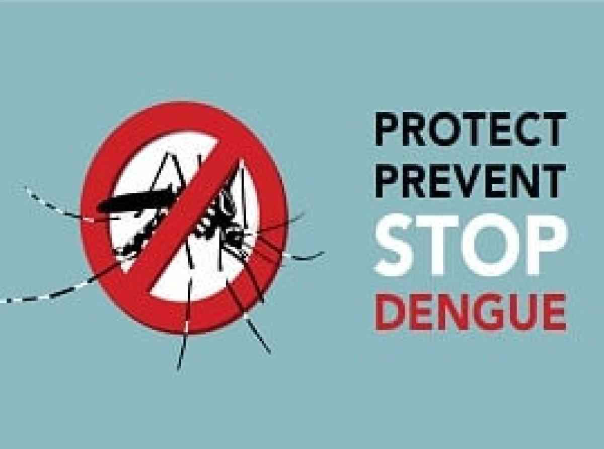  “ඩෙංගු අධි වසංගතයක” පෙර මග සලකුණු ඇතිවෙයි