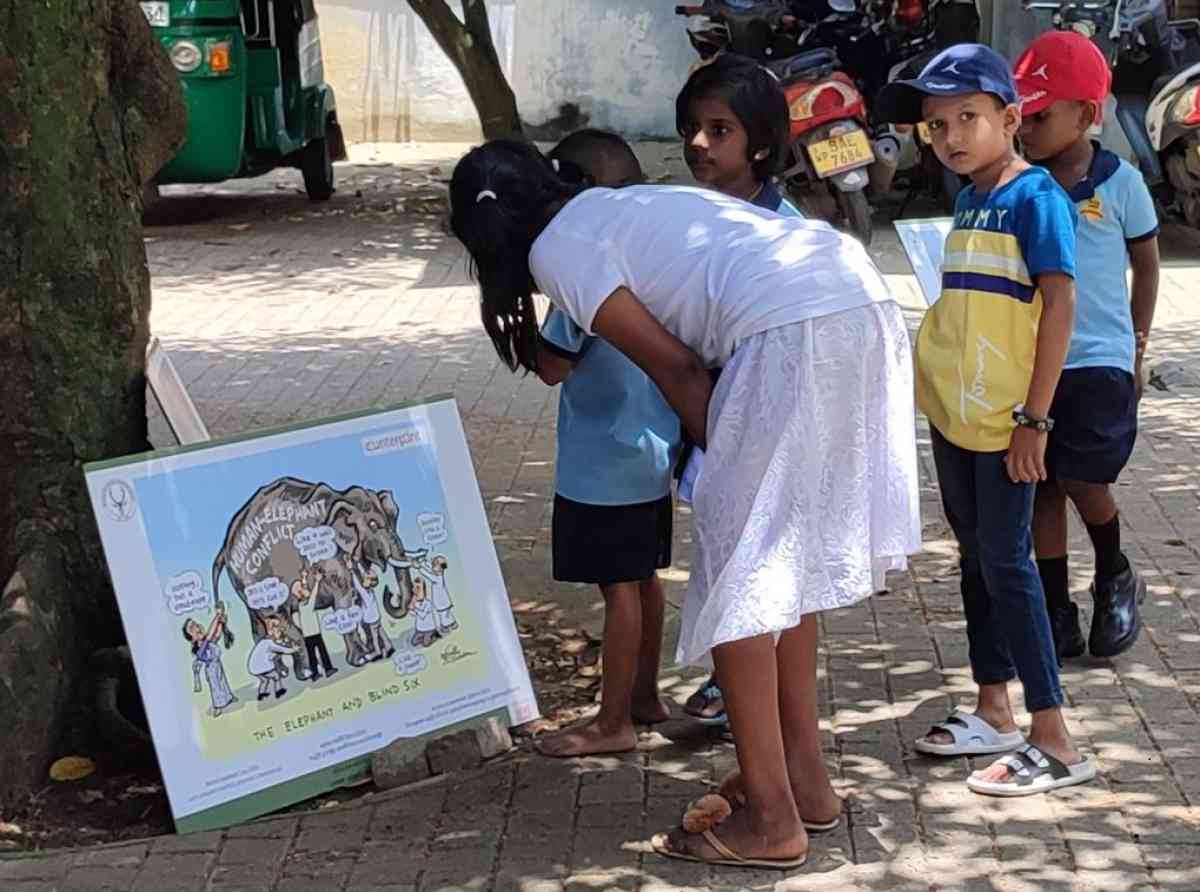 සද්දන්තයන් සුරකින්නට කාටුන් ශිල්පීන් අත්වැල් බැඳගනියි