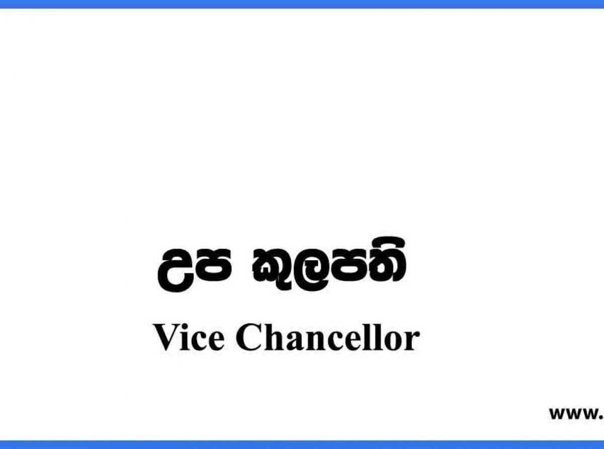 උප කුලපතිවරුන් පත් කිරීම සඳහා වෙනත් වැදගත් ක්‍රමයක් අවශ්‍යයි