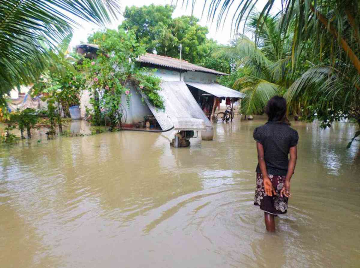 ආපදාවට ලක් ප්‍රදේශ වල ජනතාවට විශේෂ සෞඛ්‍ය වැඩපිලිවෙලක් ක්‍රියාත්මකයි