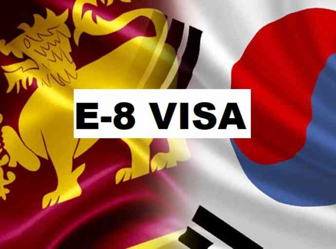 e-8-visa